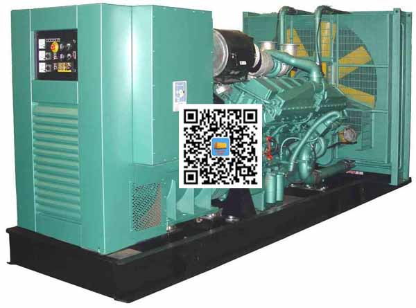 拉萨笼型异步发电机的电力电子控制技术